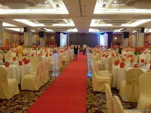 南沙盛典 專業會議及展覽服務，開啟灣區新篇章